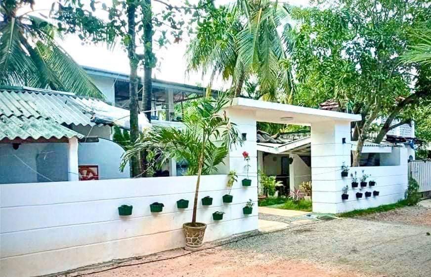 Robert Inn Dambulla Exteriör bild